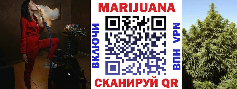 Конопля ГИДРОПОН  МЕГА   Новосиль 